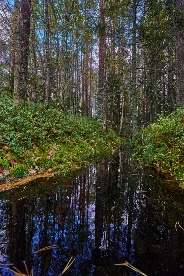 Sigma 20-60mm f2.8_4_3w.jpg