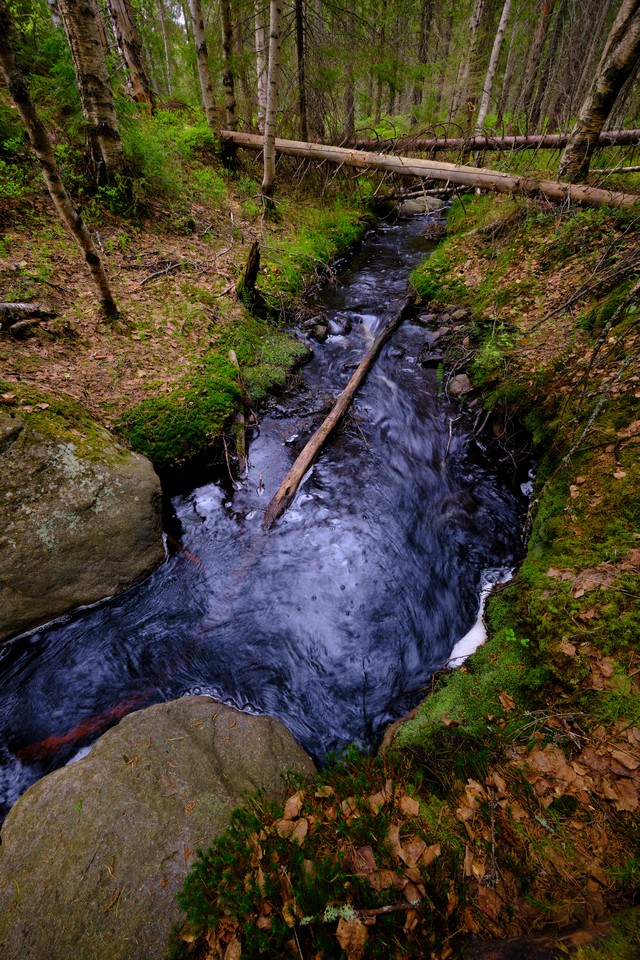 Fujifilm XF 8mm f3.5_1w.jpg