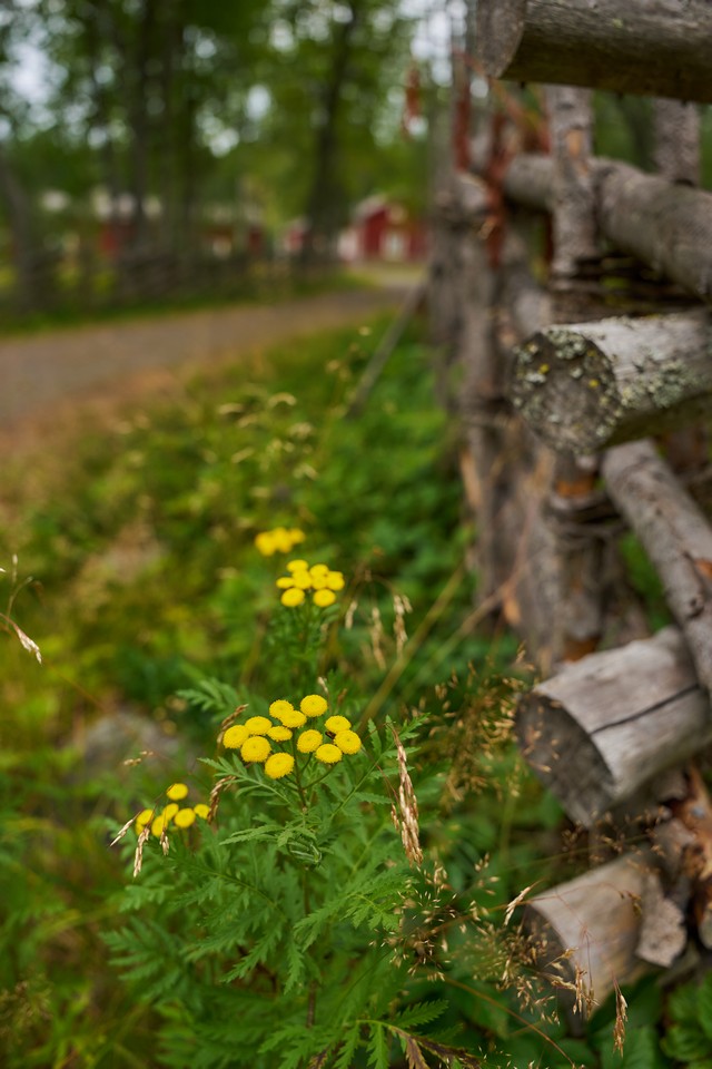 Sigma 17-40mm f1.8_4w.jpg