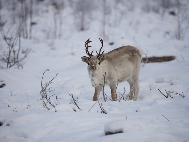 OM System OM 5 II_7w.jpg