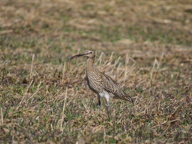 OM System 100-400mm_6w.jpg