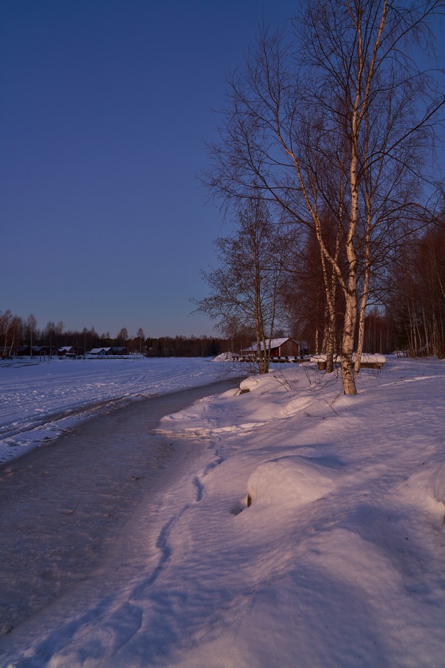 DSC05123w.jpg