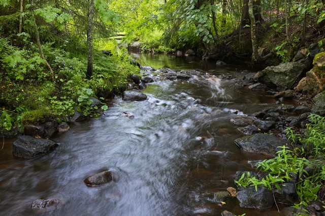 Sony RX1R III_11w.jpg