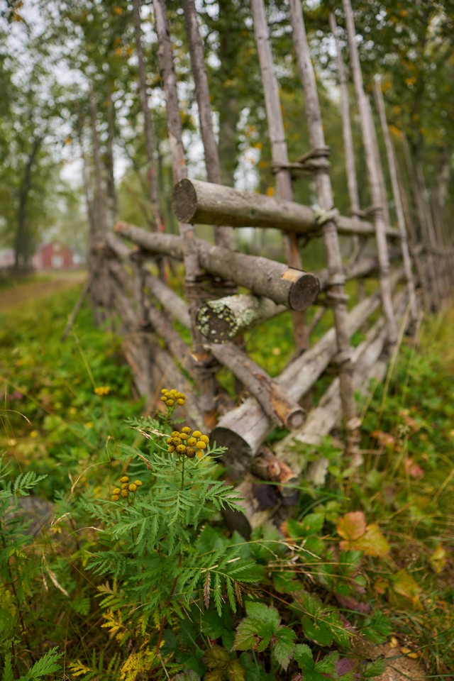 Sigma 12mm f1.4_19w.jpg