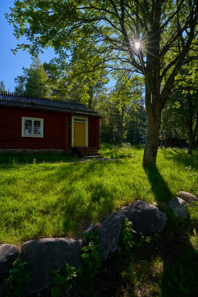 Samyang V-AF 20mm F1.9_24w.jpg