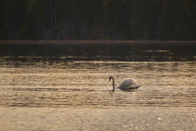 Panasonic S 100-400mm_10w.jpg