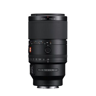 FE 100mm f/2,8 Macro GM OSS (fullformat)