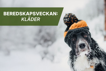 BeredskapsveckanKläder_blogg.jpg