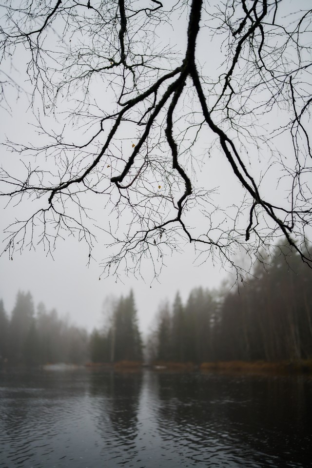 Sigma 35mm f1.2 II_5w.jpg