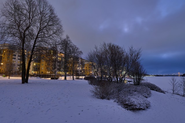 Panasonic S1 II_23w.jpg