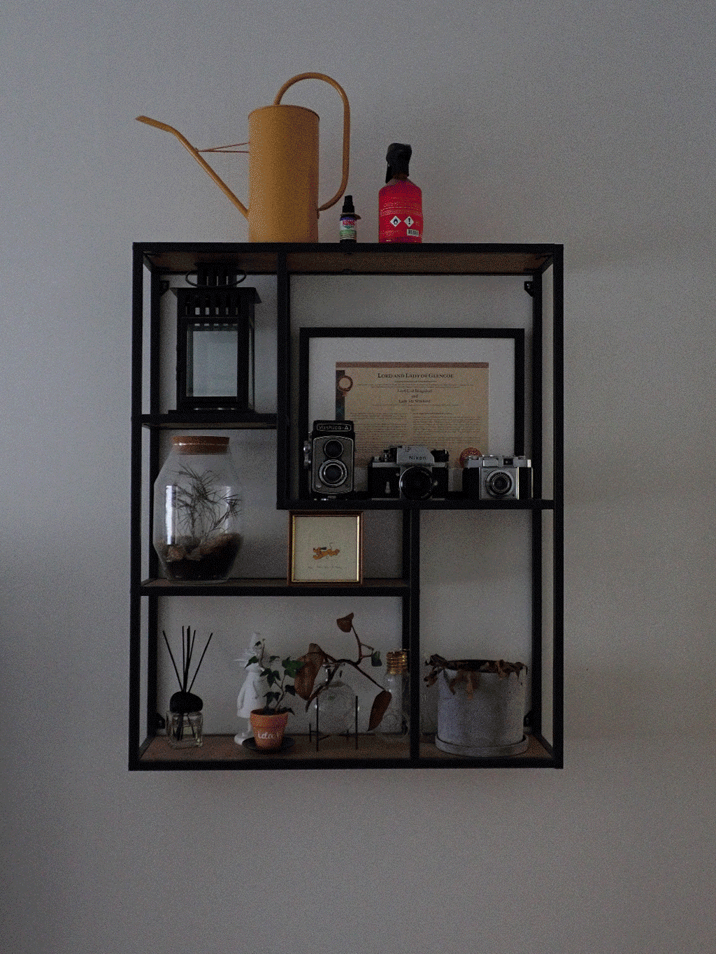 P9180247_edit.gif
