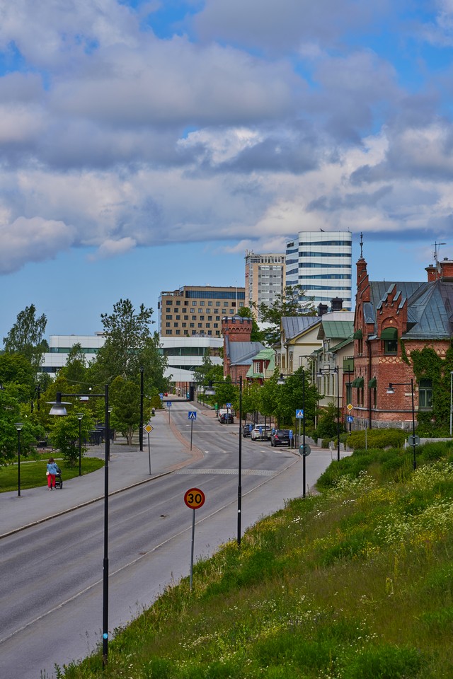 Samyang 85mm f1.4 FE II_12w.jpg