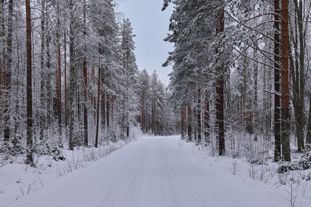 Panasonic S1 II_30w.jpg