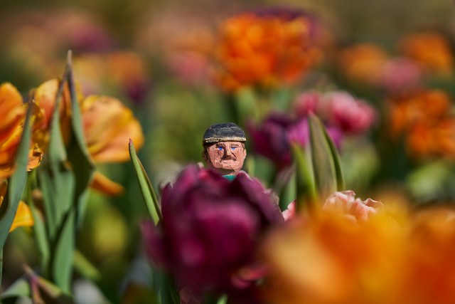 Sigma 50mm f1.2_17w.jpg