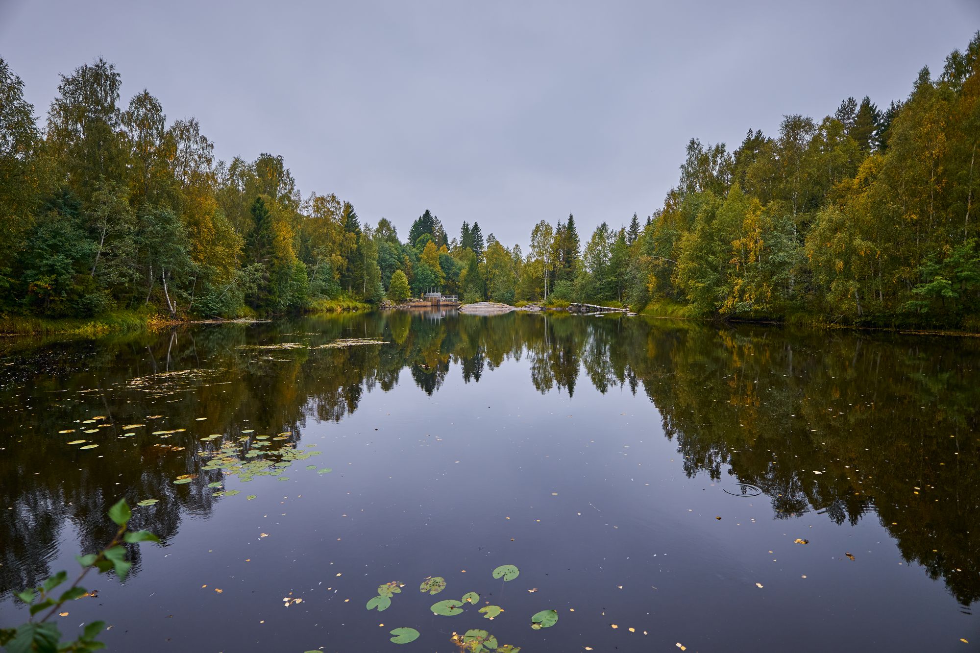 Sigma 12mm f1.4 C_blogg1.jpg