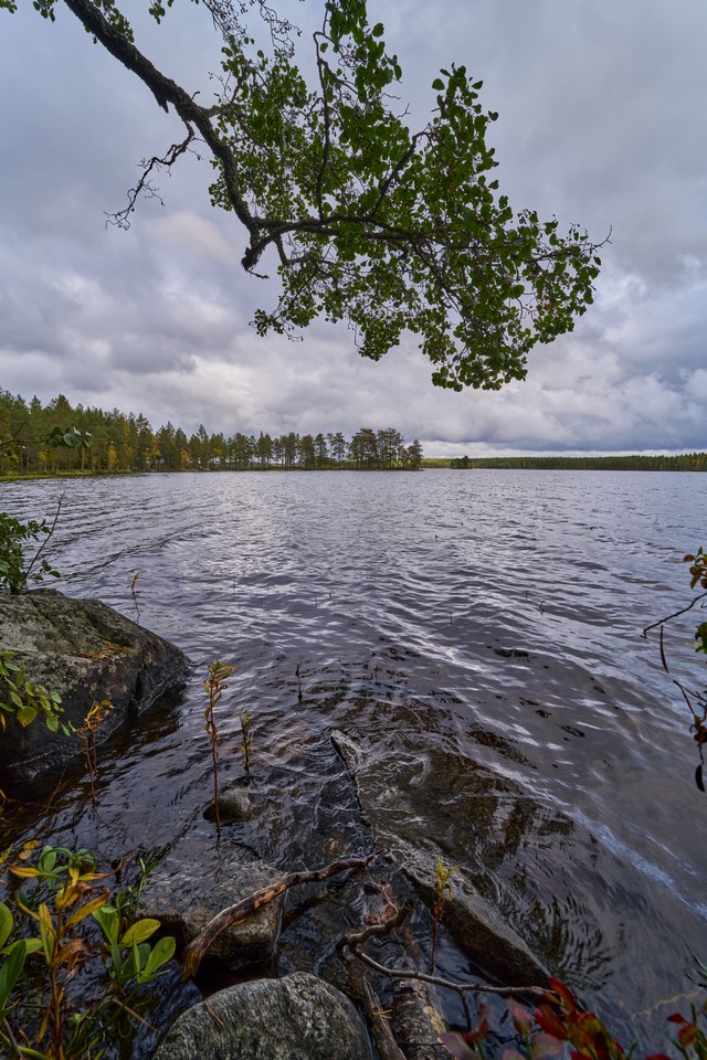 Samyang 16mm f2.8_22w.jpg