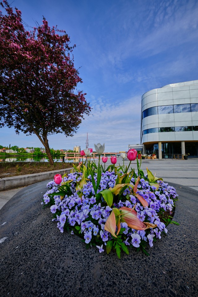 Fujifilm XF 8mm f3.5_9w.jpg