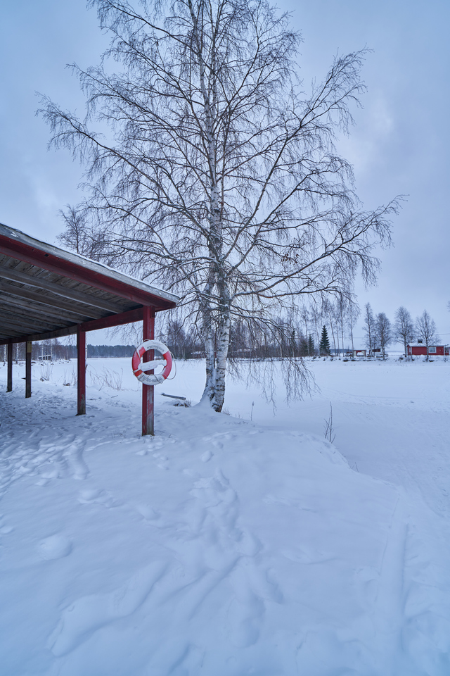 DSC06012f56_16mmw.jpg