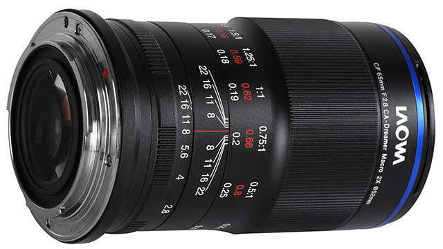 lacf65_640.jpg