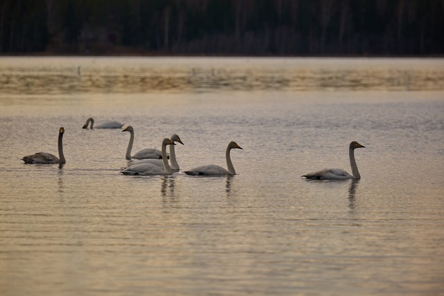 Panasonic S 100-400mm_7w.jpg