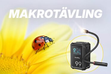 makrotävling.jpg