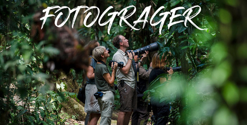 FOTOGRAFER (kopia).jpg