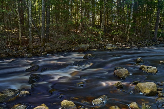 Sigma 24-70mm f2.8 II_8w.jpg