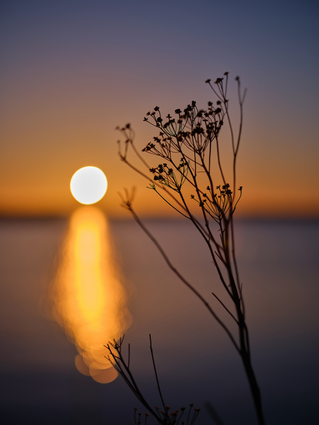 Fujifilm GF 80 f1,7_2w.jpg