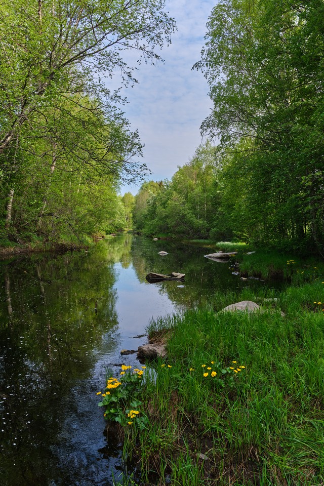 Fujifilm XF 16-50mm_11w.jpg