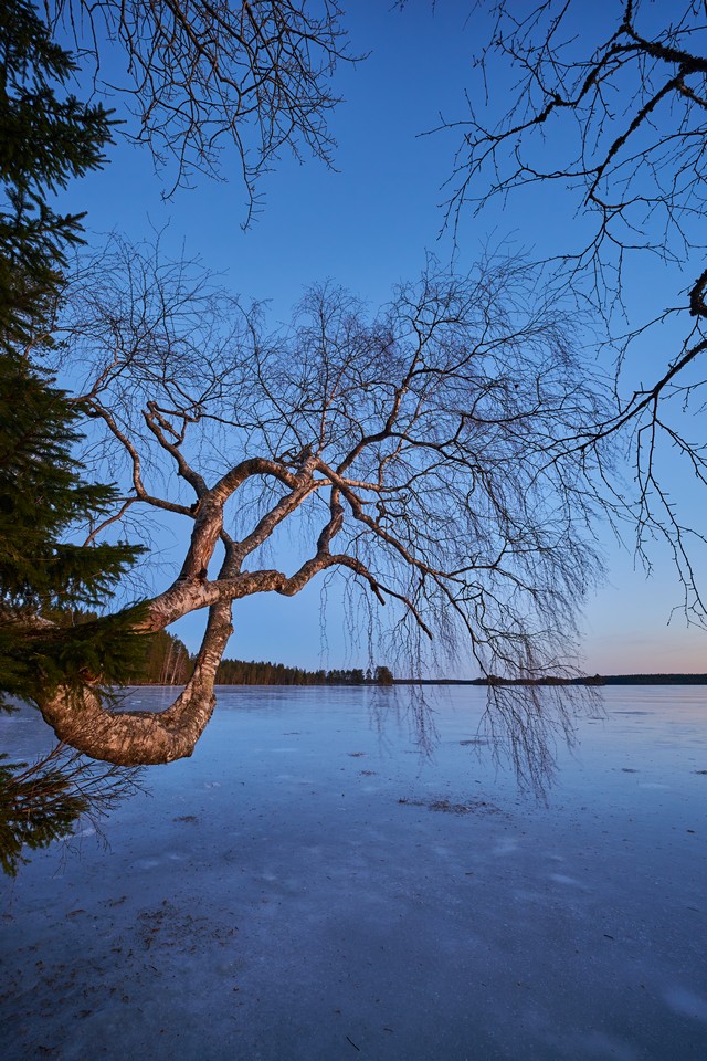 Viltrox 9mm f2.8_6w.jpg