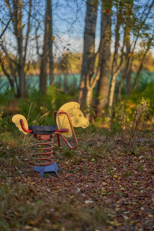 Sigma 85mm f1.2_25w.jpg