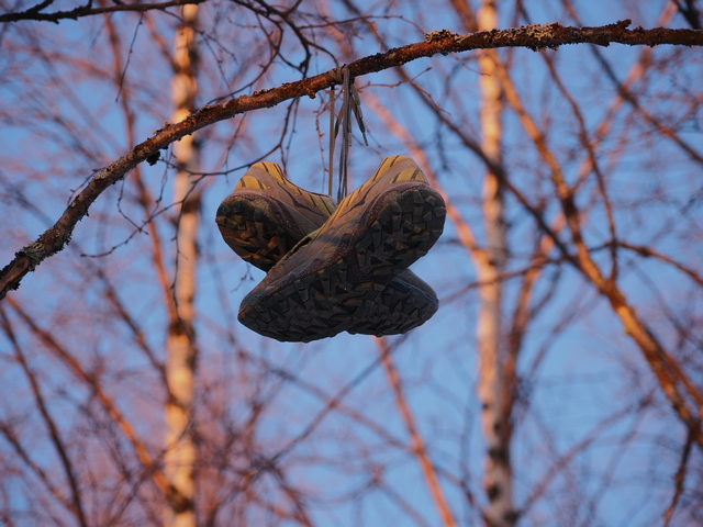 olympus E M1 Mark III_5w.jpg