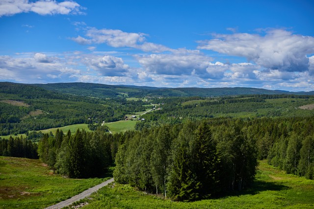 Canon EOS R6 V_5w.jpg