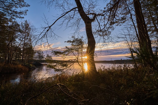 Canon EOS R6 Mark III_11w.jpg