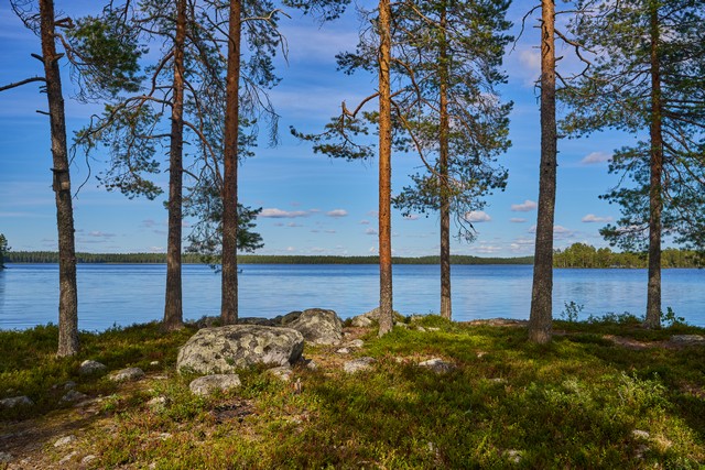 Tamron 16-30mm f2.8_4w.jpg