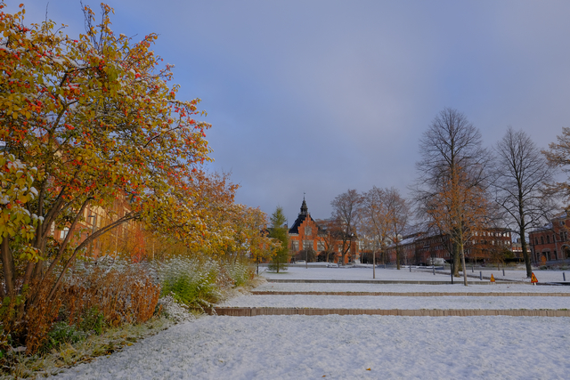 Fujifilm_X Pro 3_18w.jpg