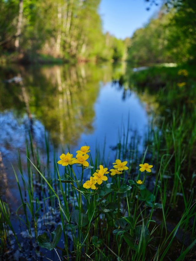 Fujifilm GFX 100s II_19w.jpg
