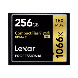 CompactFlash Professional 1066X 256GB, 160MB/s 