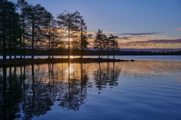 Nikon Z 40mm f2_blogg.jpg