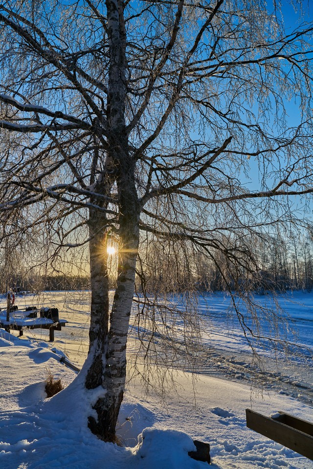 Laowa 28mm f1.2_9f4w.jpg