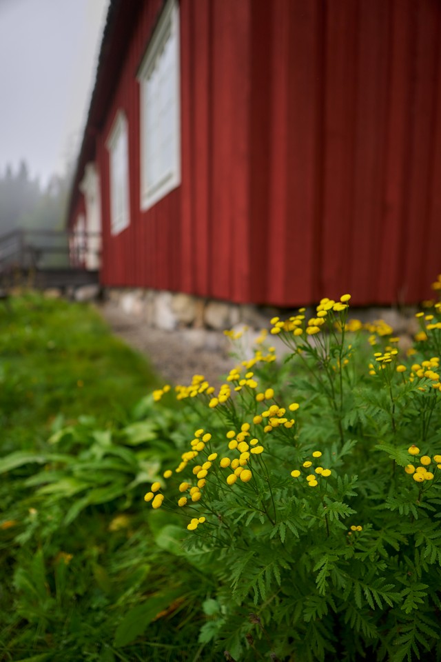 Sigma 12mm f1.4_14w.jpg