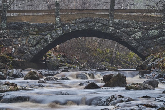 Sigma 135mm f1.4_6w.jpg