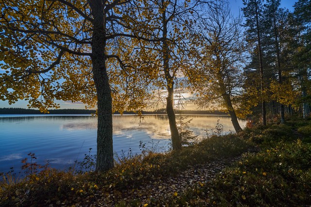 Viltrox 14mm f4_19w.jpg