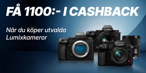 PanasonicLumix_1100cashback.jpg
