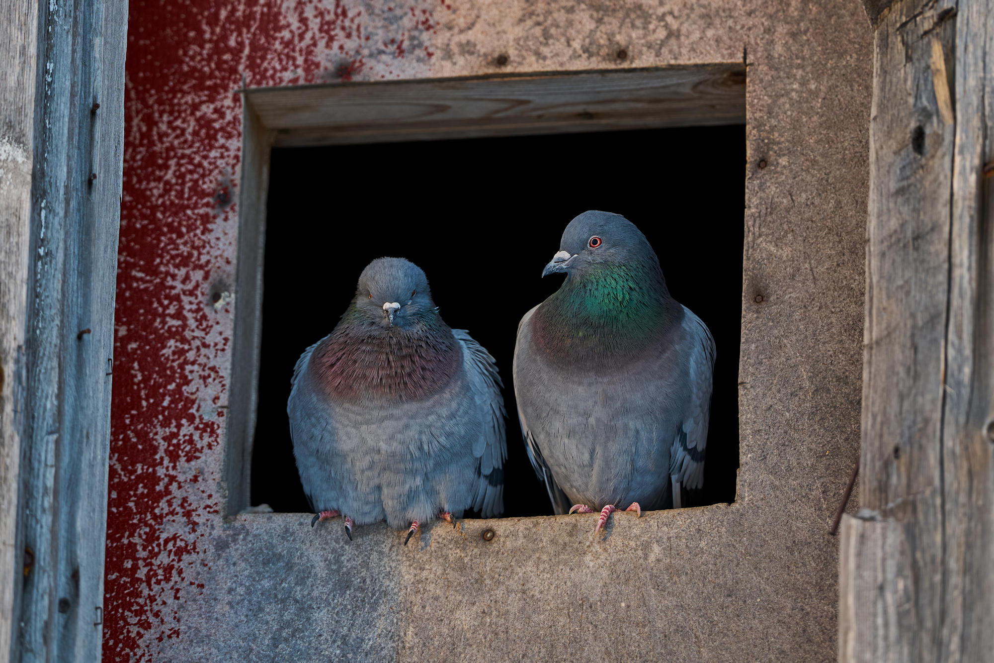 Sigma 200mm f2_blogg1.jpg