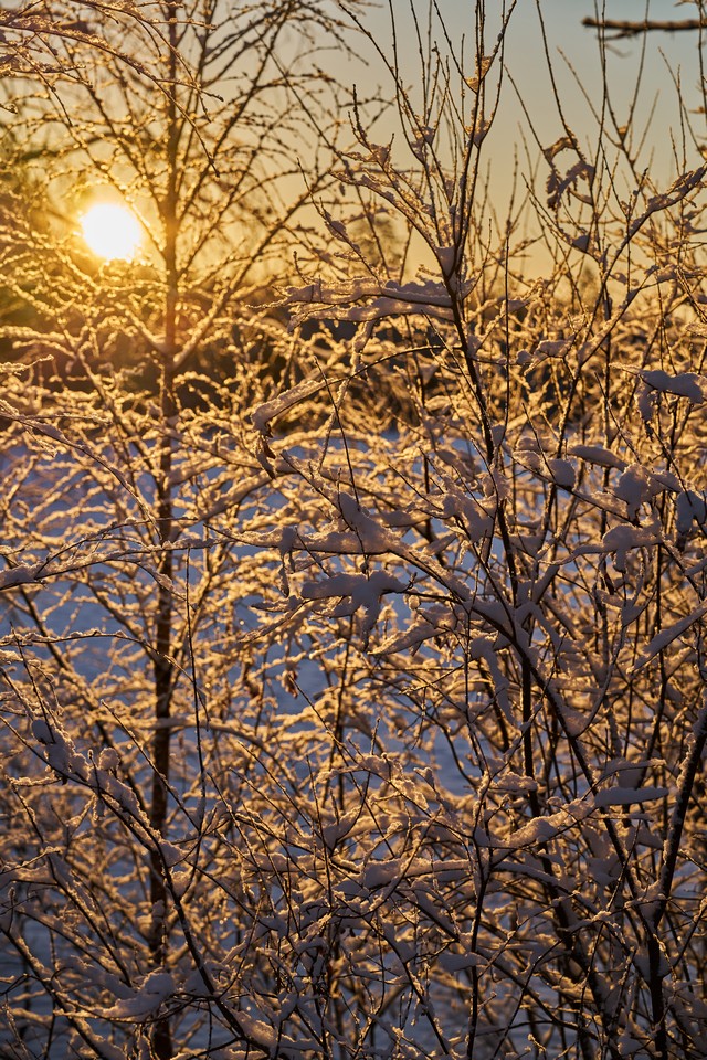 Viltrox 85mm f2 EVO_29w.jpg