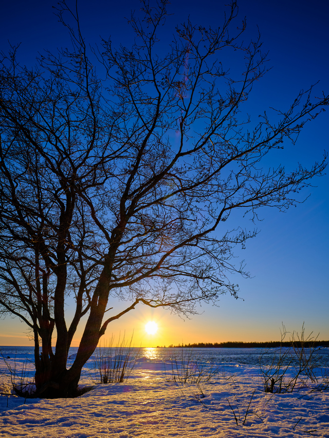 Fujifilm GFX100s_10w.jpg