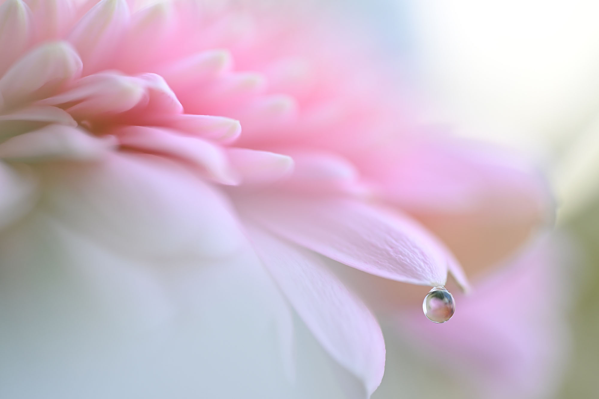 nikonz6iii_blogg4.jpg
