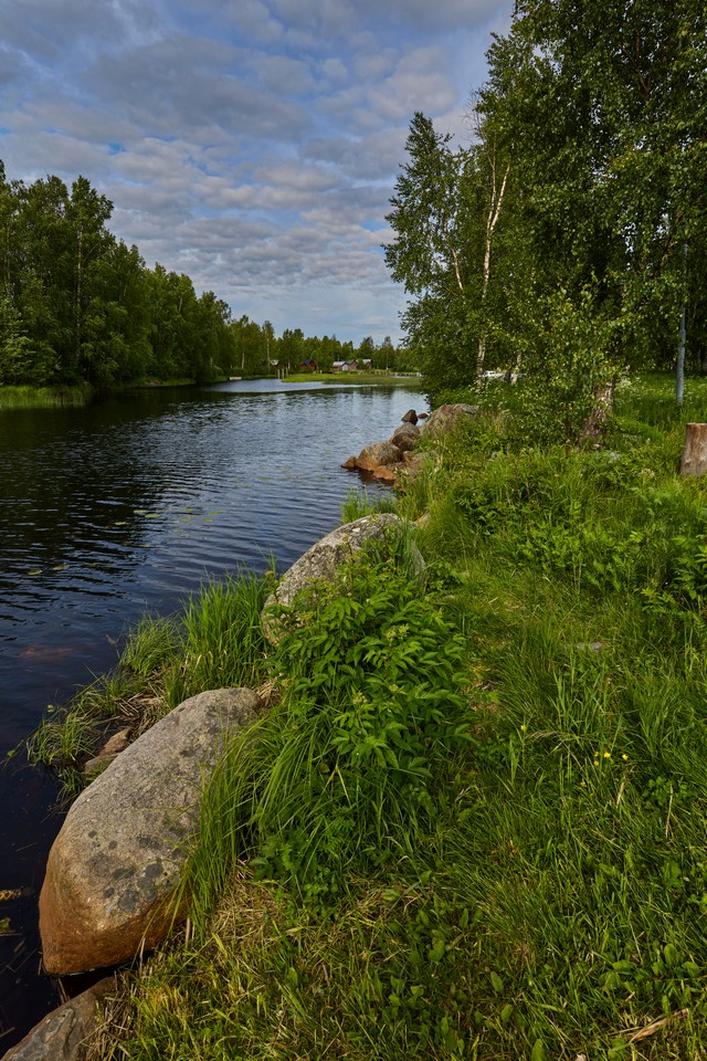Canon RF 20-50mm f4_40w.jpg