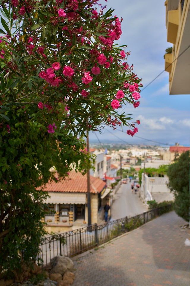Voigtländer 28mm f1.5_3w.jpg